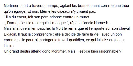 Les Annales Du Disque-Monde t4