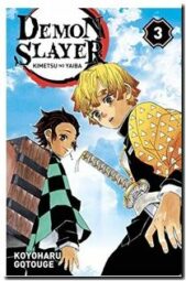 Demon Slayer - Tome 03